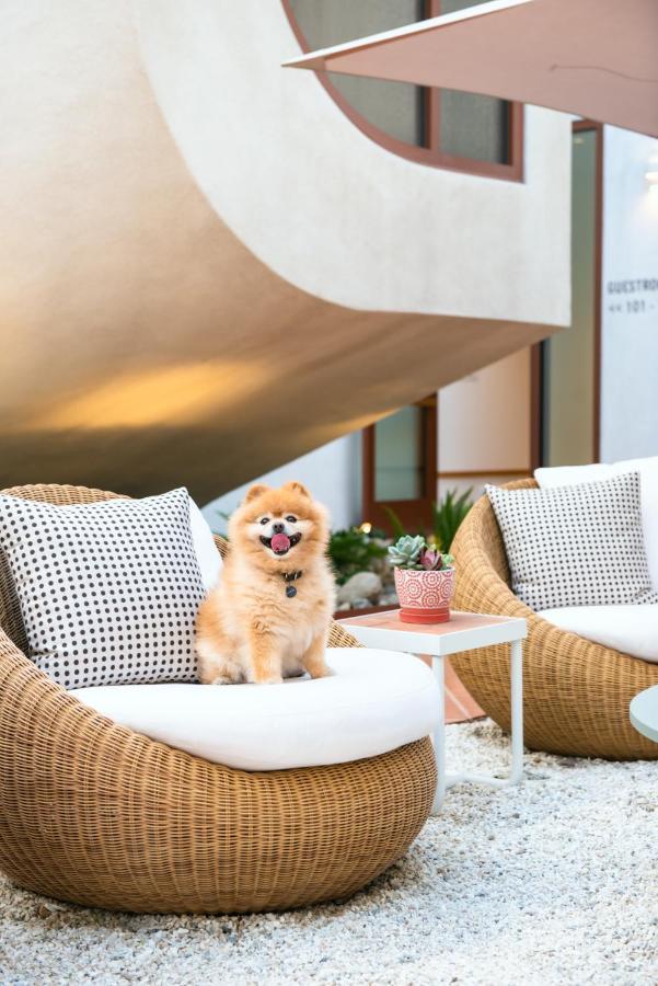 Alsace La Hotel ลอสแอนเจลิส ภายนอก รูปภาพ